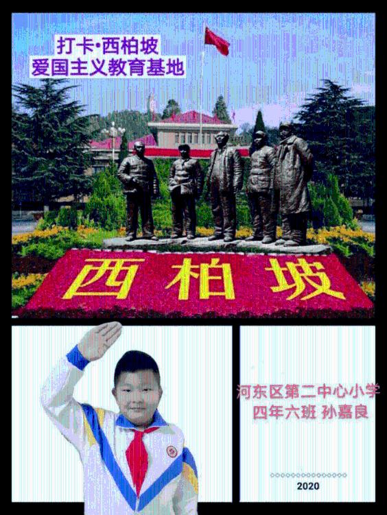 后代赢奖金超5亿美元种公马:“赌徒乐事”(Bettor's Delight)