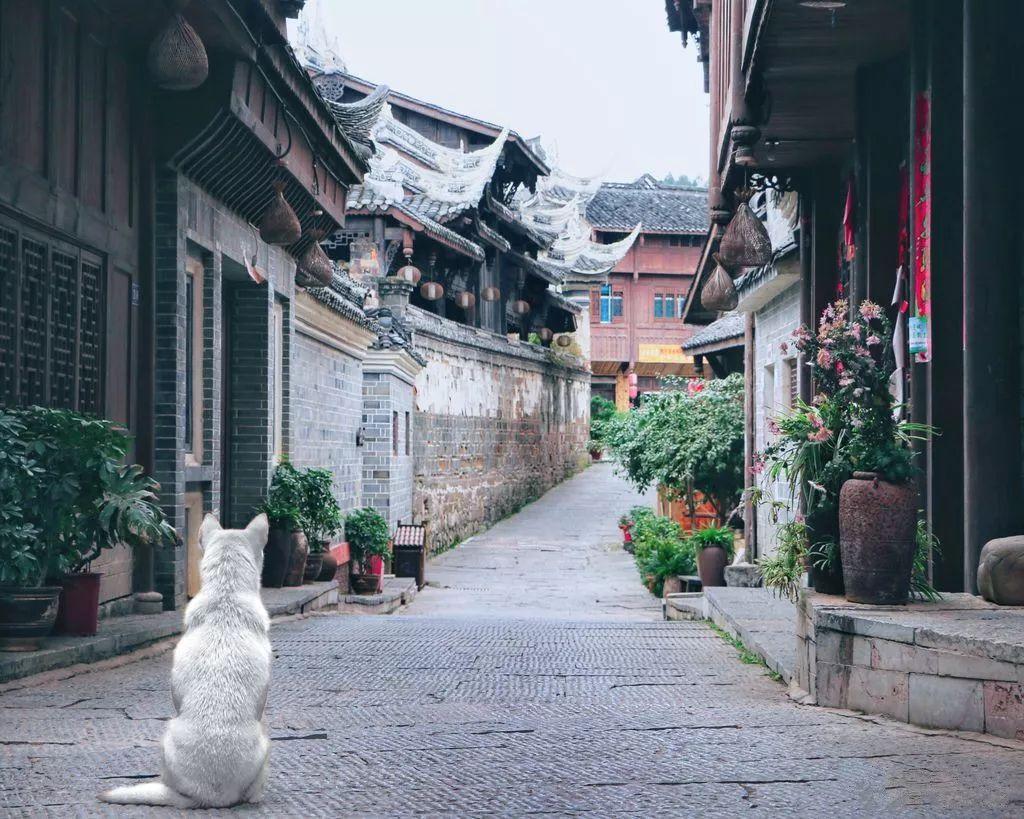 沈阳地铁运营时间有调整!